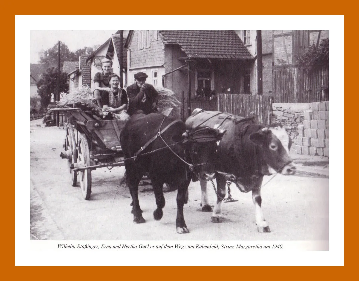 Bienenhaus Faust Wilhelm Stößinger, Erna und Hertha Guckes auf dem Weg ins Rübenfeld