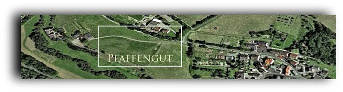 Ungefähre Lage des Pfaffengutes/Ochsengutes wo der neue Totenhof angelegt wurde