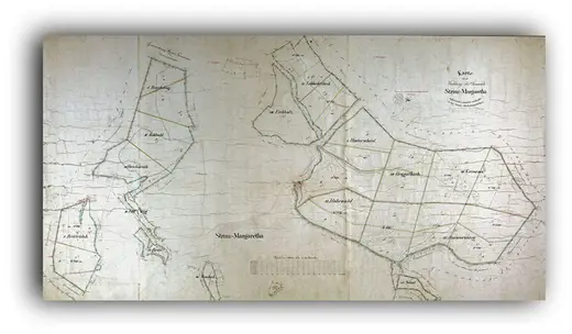 Bildtafel aus der Chronik: Waldgeschichten